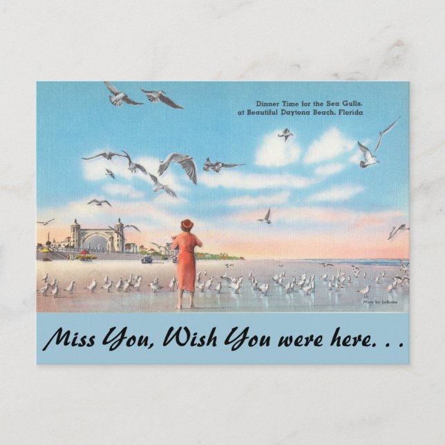 Carte Postale Floride, Mouettes, Daytona Beach (Devant)