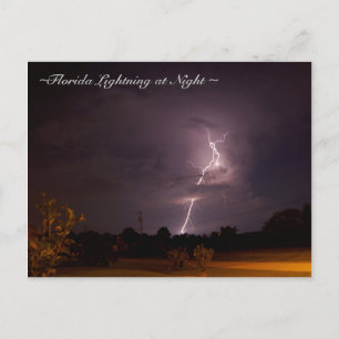 Carte postale Floride Night Lightning