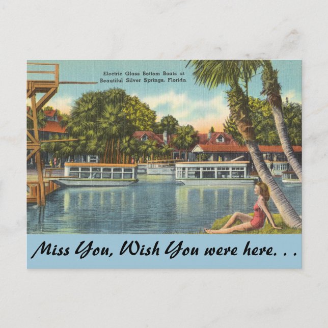 Carte Postale Floride, Silver Springs (Devant)
