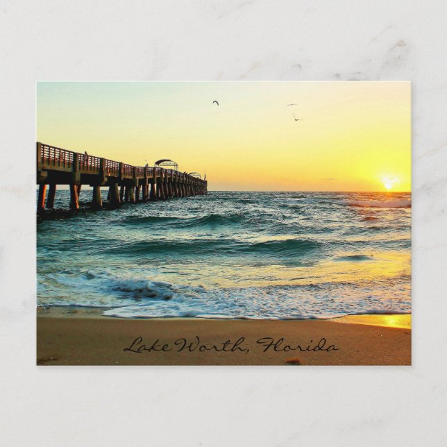 Carte postale Floride Sunrise (Devant)