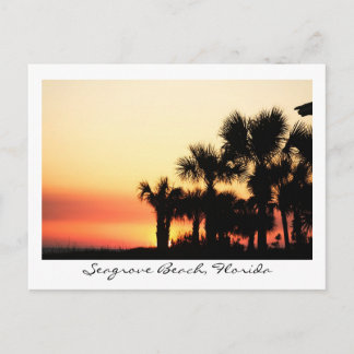 Carte Postale Floride Sunset Seagrove Beach Palm Trees