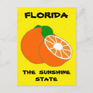 Carte Postale Floride Sunshine State.jpg