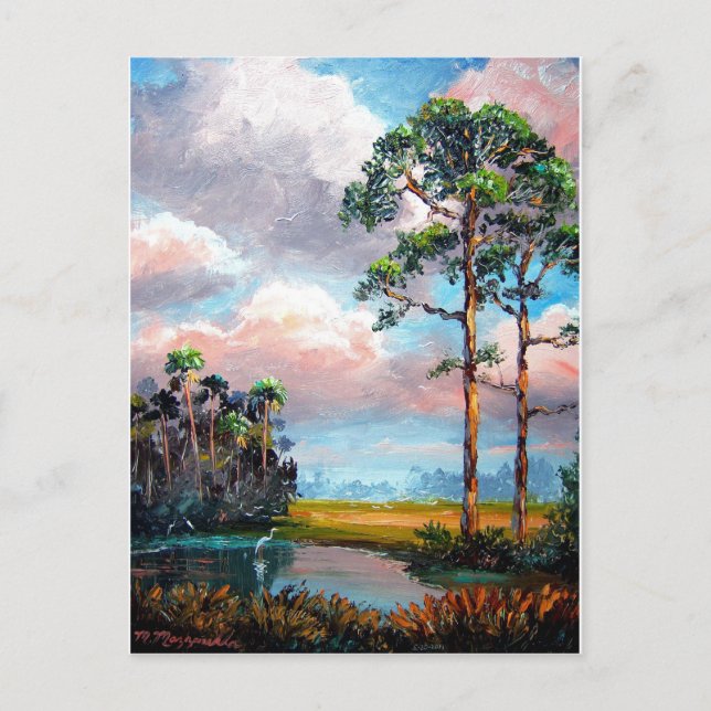 Carte Postale Floride Wilderness (Devant)