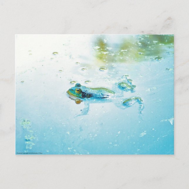 Carte Postale Flottant (Devant)