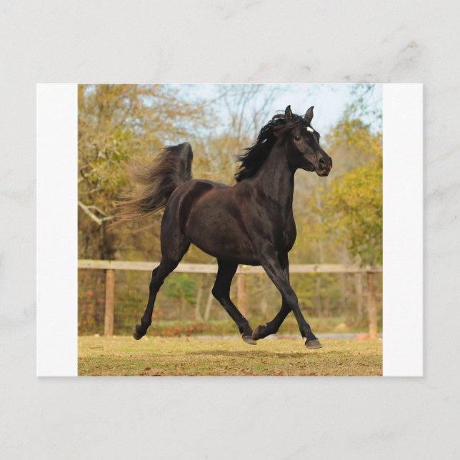 Carte Postale Flottant dans l'air (Devant)