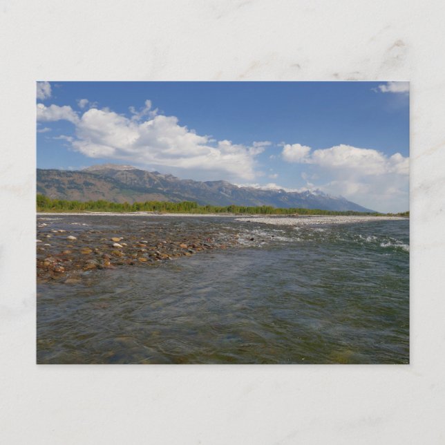 Carte Postale Flottant le long de la rivière Snake II (Devant)