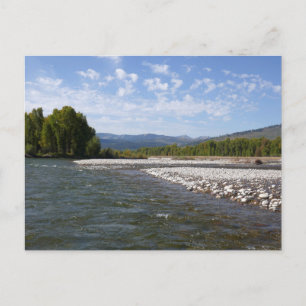 Carte Postale Flottant sur la rivière Snake I