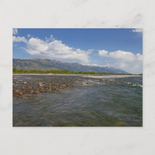 Carte Postale Flottant sur la rivière Snake II
