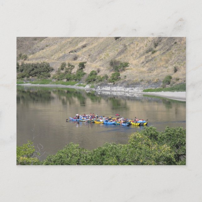 Carte Postale Flotter le serpent (Devant)