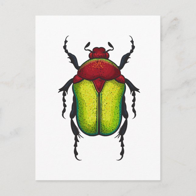 Carte Postale Flower beetle (Devant)