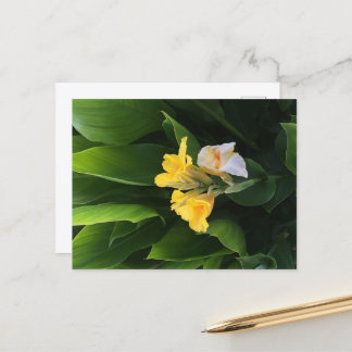 Carte Postale Flower Delivery