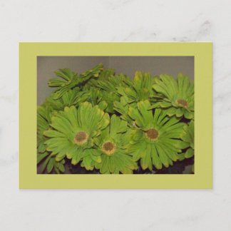 Carte Postale Flower power vert