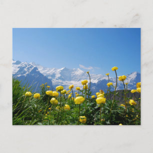 Carte Postale Flowers (homonymie) Eiger Monch Swiss Alps