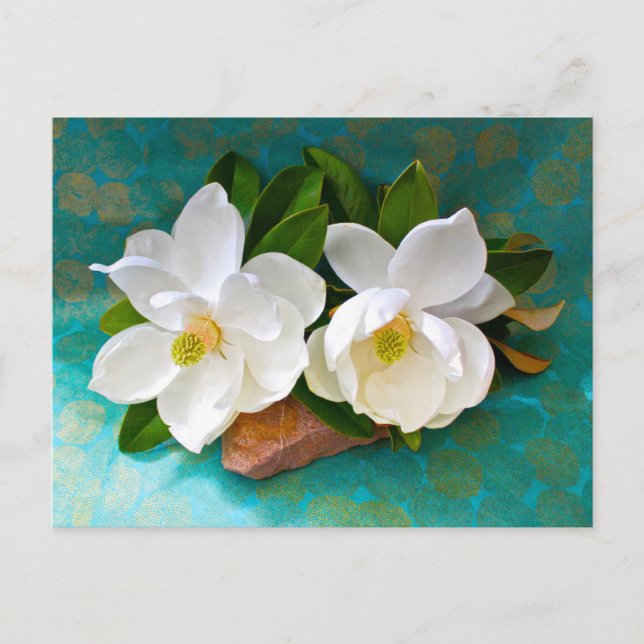 Carte Postale Flowers | Magnolia Flower (Devant)