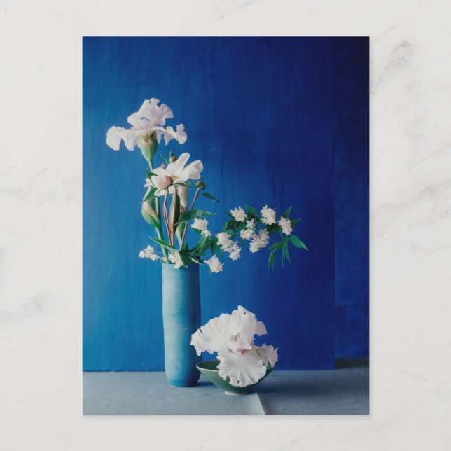 Carte Postale Flowers | White Iris in Vase (Devant)