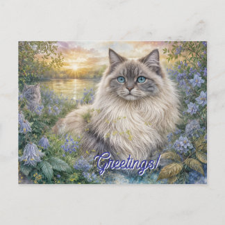 Carte Postale Fluffy Himalayan Cat In Purple Garden at Sunrise
