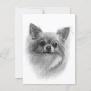 Carte Postale Fluffy Majesty - Peint à la main Chihuahua Portrai
