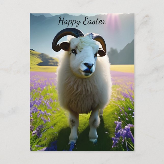 Carte Postale Fluffy Mouton champ de fleurs pourpres -Pâques (Devant)