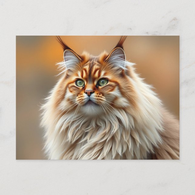 Carte Postale Fluffy Norwegian Forest Portrait de chat (Devant)