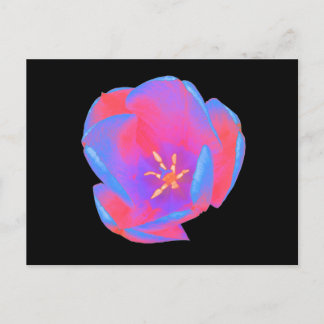 Carte postale Fluorescent Tulip