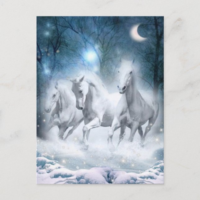 Carte Postale Flurry sauvage (Devant)