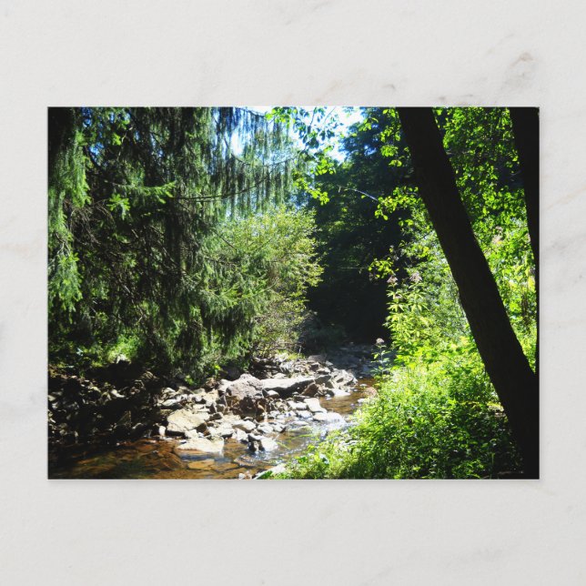 Carte Postale Flux (Devant)