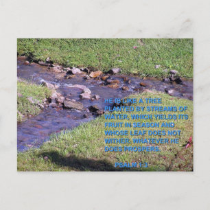 CARTE POSTALE FLUX