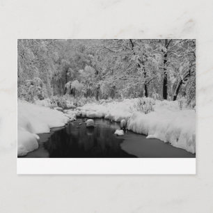 Carte Postale Flux couvert de neige