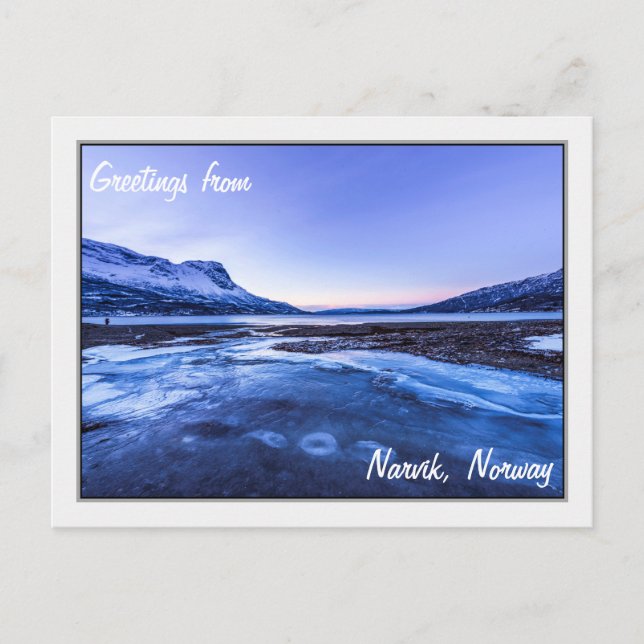 Carte Postale Flux gelé sur les rivages Narvik (Devant)