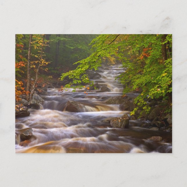 Carte Postale Flux le long du sentier des Appalaches (Devant)
