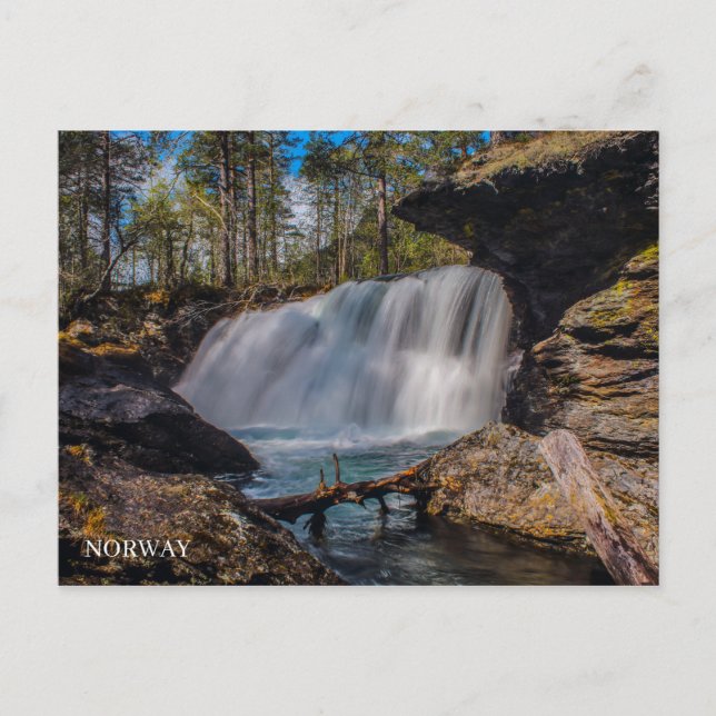 Carte Postale Focus sur la nature - Norvège (Devant)
