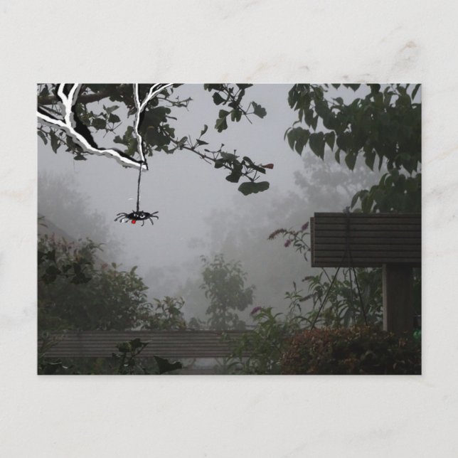 Carte Postale Foggy Jardin d'automne avec Spider do-it-yourself  (Devant)