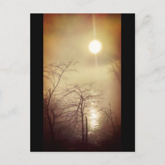 Carte Postale Foggy Morning