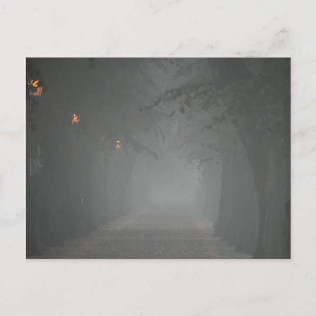 Carte Postale Foggy Morning (Devant)