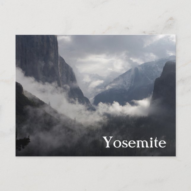 Carte Postale Foggy Morning (Devant)