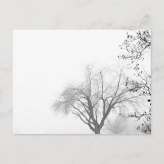 Carte Postale Foggy Morning Trees