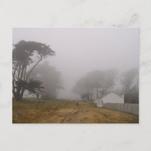 Carte postale Foggy Point Reyes