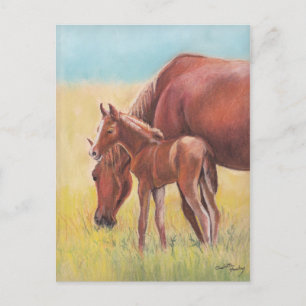 Carte postale Foin et Mare Horse Art
