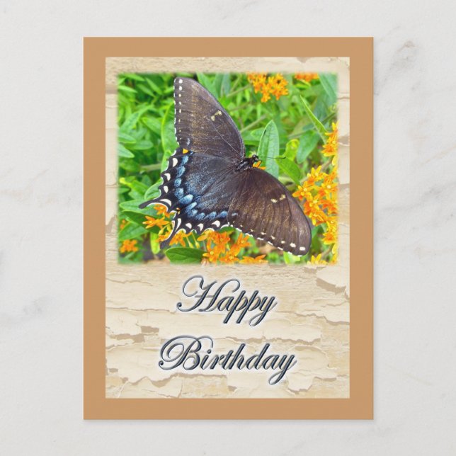 Carte Postale Foncé Phase Tigre Swallowtail Butterfly Anniversai (Devant)