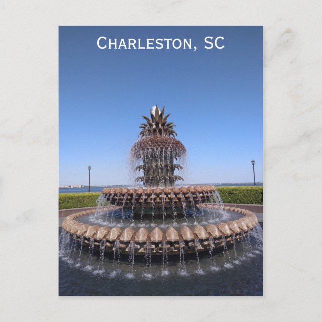 Carte Postale Fontaine d'ananas Charleston Caroline du Sud (Devant)