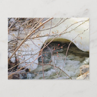 Carte Postale Fonte Glacée d'Hiver