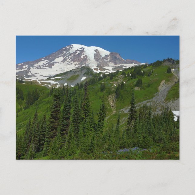 Carte Postale Fonte glaciaire au Mont Rainier (Devant)