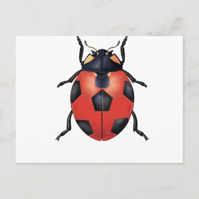 Carte Postale Football de Ladybug (Devant)
