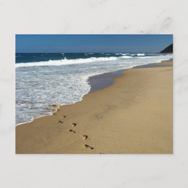 Carte Postale Footprints On Beach, Mabibi, Thongaland (Devant)