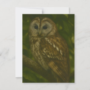 Carte Postale Forest Sentinel - Tawny Owl Wildlife Art
