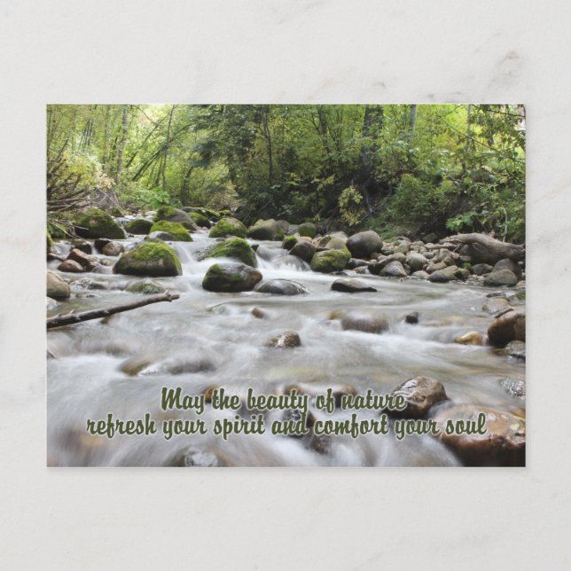Carte postale Forest Stream (Devant)