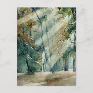 Carte Postale forêt