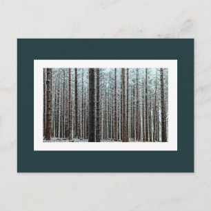 Carte Postale Forêt