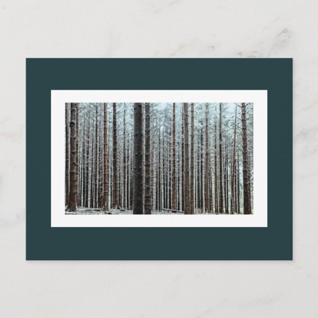 Carte Postale Forêt (Devant)