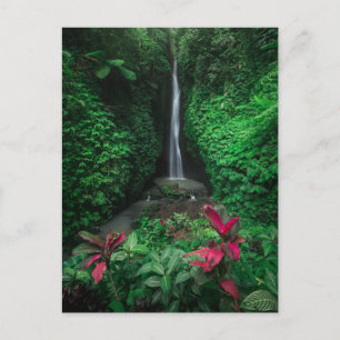Carte Postale Forêt Cascades Leke Leke Waterfalls à Bali